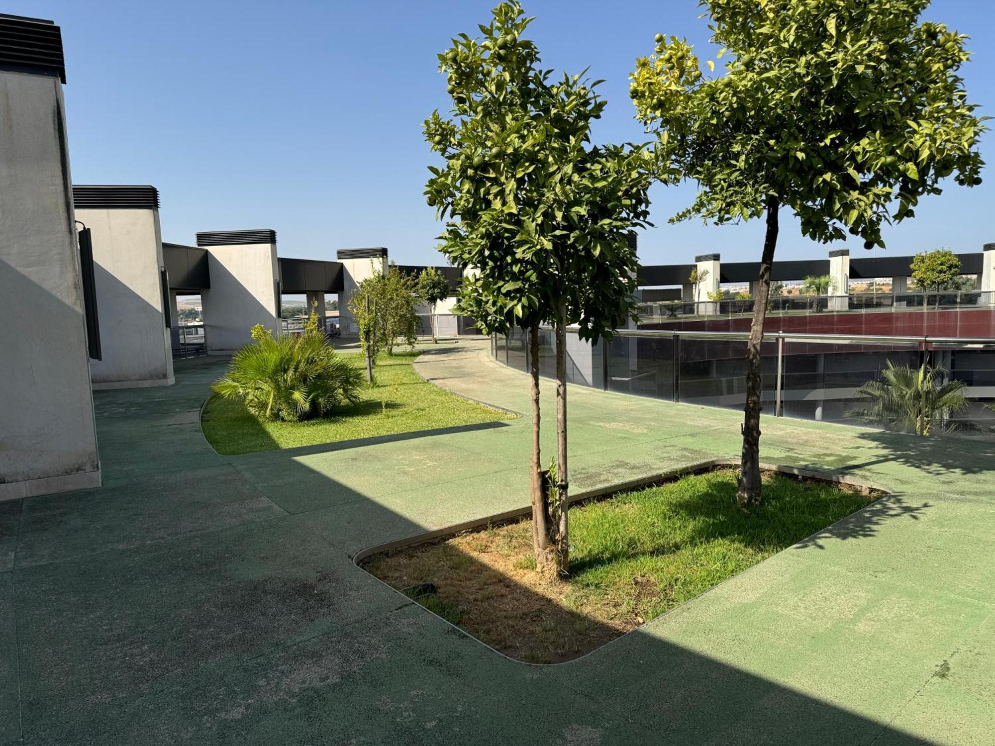 Apartamento Cotur 121 Parking Gratuito Córdoba Exteriör bild
